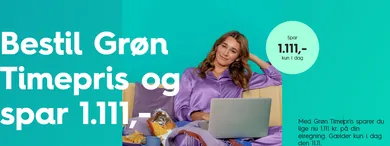 EWIIs Singles Day-tilbud – spar på strøm og grøn energi