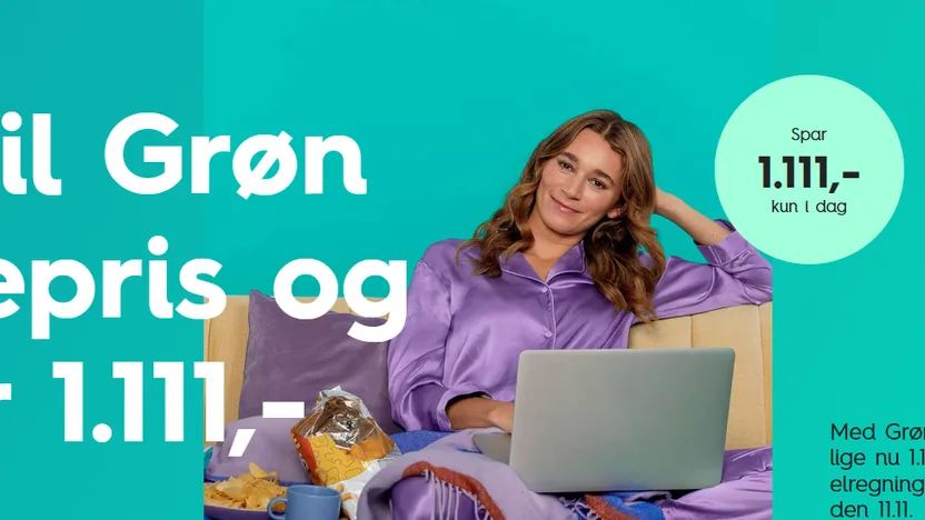 EWIIs Singles Day-tilbud – spar på strøm og grøn energi