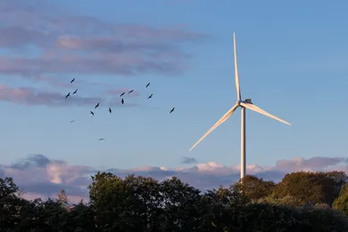 Hvornår er der bedst tilbud på strøm? Guide til de laveste elpriser i Danmark