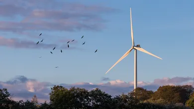 Hvornår er der bedst tilbud på strøm? Guide til de laveste elpriser i Danmark