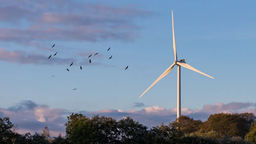 Hvornår er der bedst tilbud på strøm? Guide til de laveste elpriser i Danmark