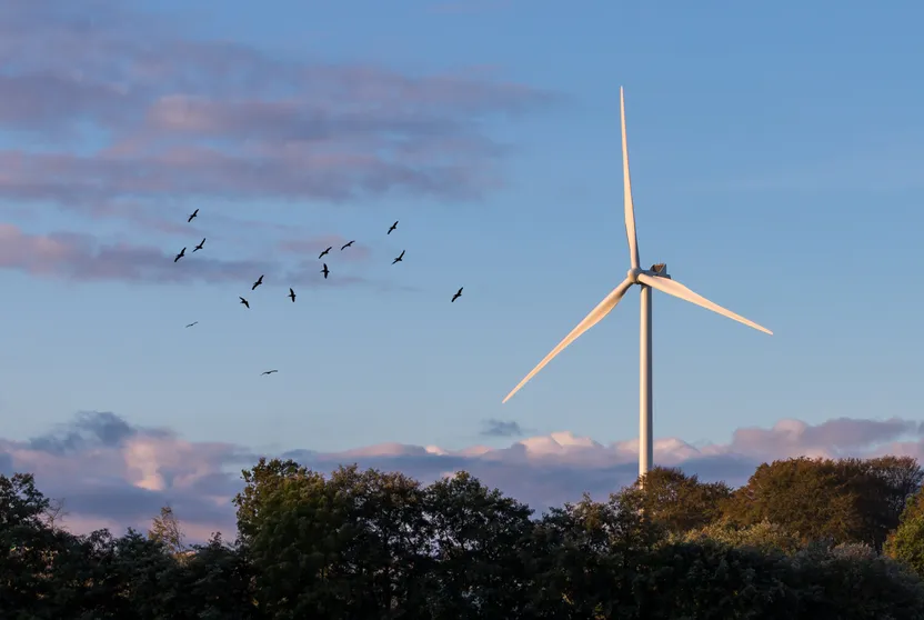 Hvornår er der bedst tilbud på strøm? Guide til de laveste elpriser i Danmark
