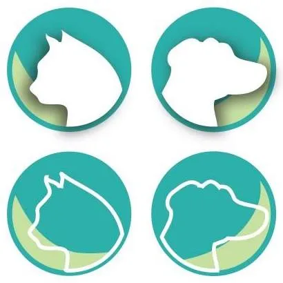 Design for Pets
