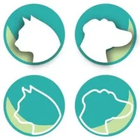 Design for Pets