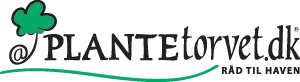 Plantetorvet