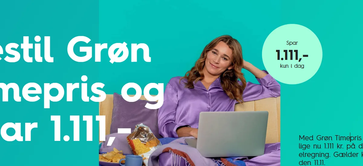 EWIIs Singles Day-tilbud – spar på strøm og grøn energi