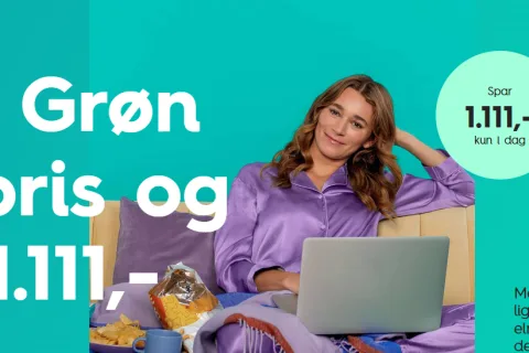 EWIIs Singles Day-tilbud – spar på strøm og grøn energi